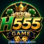H555 Game