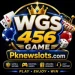 WGS456-Game pknewslots.com