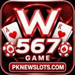 W567 Game